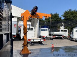 FIAT Ducato Dreiseitenkipper Säulendrehkran