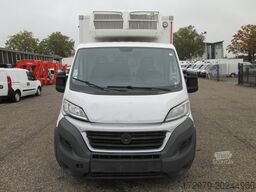 FIAT Ducato 130 *Maxi-Kühlkoffer*Euro 6*