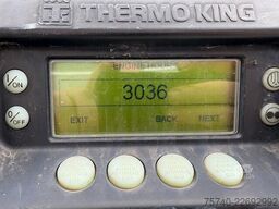 Talson MEGA + 3 X SAF AS + THERMO KING SLX 300 + HOOGT...