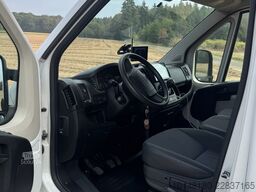 Citroën Bloomfields 2 Pferdetransporter 149t KM
