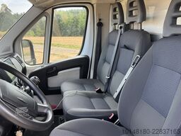 Citroën Bloomfields 2 Pferdetransporter 149t KM