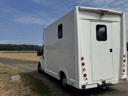 Citroën Bloomfields 2 Pferdetransporter 149t KM