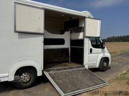 Citroën Bloomfields 2 Pferdetransporter 149t KM