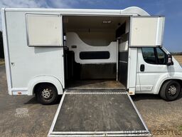 Citroën Bloomfields 2 Pferdetransporter 149t KM