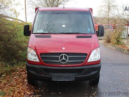 MERCEDES-BENZ Sprinter 310  Cold Car -33°C