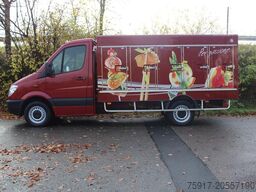 MERCEDES-BENZ Sprinter 310  Cold Car -33°C