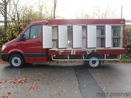 MERCEDES-BENZ Sprinter 310  Cold Car -33°C