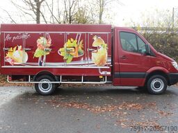 MERCEDES-BENZ Sprinter 310  Cold Car -33°C