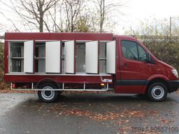 MERCEDES-BENZ Sprinter 310  Cold Car -33°C