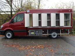 MERCEDES-BENZ Sprinter 310  Cold Car -33°C ATP 02/28