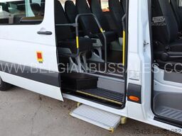 Mercedes-Benz Sprinter 516 CDi / Transfer 45 / Retarder / 7,4m