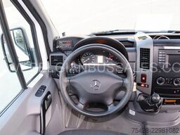 Mercedes-Benz Sprinter 516 CDi / Transfer 45 / Retarder / 7,4m