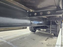 FLIEGL SDS 390