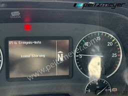 Mercedes-Benz Actros 1846 K 4x2, Klima, Retarder, MP 3, EURO 5