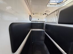 Man TGE | HORSETRUCK | KRISMAR | STALLION 3XXL | 20...