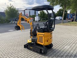 Berger Kraus BK1300JSR mit Kubota Motor + Schwenkarm