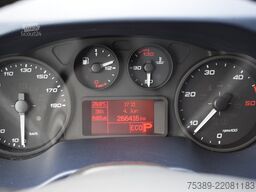 Iveco Daily  35 S21 3,0 Automatik Luftfederung Tempomat