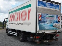 MAN TGM 15.290 Kühlkoffer Tiefkühler Frigoblock