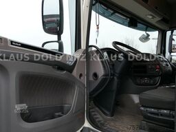 DAF XF 480 Retarder XL-Tank Blatt/Luft Euro 6