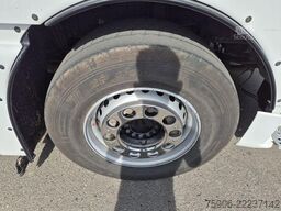 MAN TGX