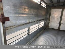  Bewermeier Tandem 1 Stock