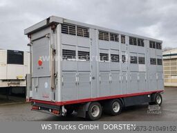  KABA 3 Stock  Hubdach Viehanhänger