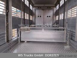  KABA 3 Stock  Hubdach Viehanhänger