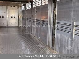  KABA 3 Stock  Hubdach Viehanhänger