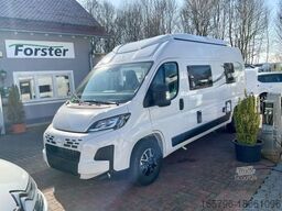 Forster V 599 VB5 Flip mit Aufstelldach