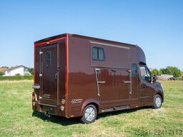 Renault Master Pferdetransporter 5 Sitzplätze Hengst