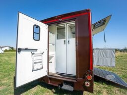 Renault Master Pferdetransporter 5 Sitzplätze Hengst