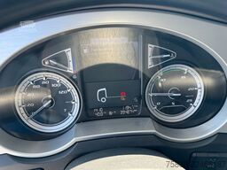 DAF XF 480*Palfinger Kran*Lift/Lenkachse*394 TKM*