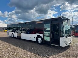 MERCEDES-BENZ Citaro LE 50 Sitzplätze mehrfach Verfügbar