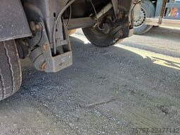 WIELTON 50 cbm Getreidemulde, Pendelklappe,Kornschieber