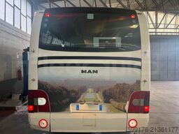 MAN Lion's regio