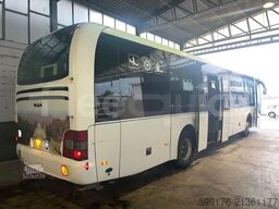 MAN Lion's regio