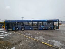 Solaris Urbino
