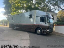 DAF CF Roelofsen 6 Pferde Wohnung