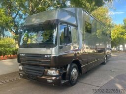 DAF CF Roelofsen 6 Pferde Wohnung