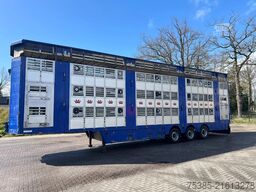 Pezzaioli Livestock 1/2/3 Independed/separate levels