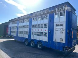 Pezzaioli Livestock 1/2/3 Independed/separate levels