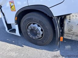 Iveco SWAY 490