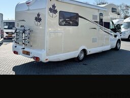 Ahorn Canada
