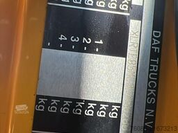 DAF CF 85.460 (GOOD CONDITION / BONNE ETAT)