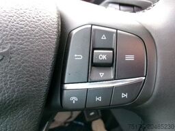 FORD Transit 350L4 Trend 4x4 Pritsche AHK Kam Stndhzg