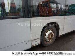 MERCEDES-BENZ Citaro *Retarder/42+1/44-Stehplätze/Klima