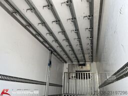 MAN TGX 26.480 6x2*Fleisch/Rohr*Meat*Komplettzug*