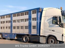 VOLVO FH 460 Mega mit Finkl 3 Stock Hubdach