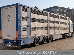 VOLVO FH 460 Mega mit Finkl 3 Stock Hubdach