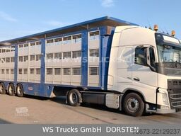 VOLVO FH 460 Mega mit Finkl 3 Stock Hubdach